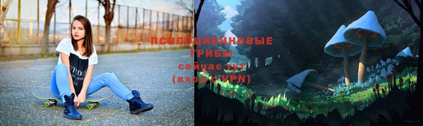 эйфоретик Алексин