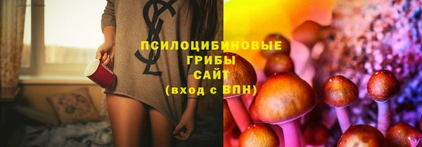 эйфоретик Алексин